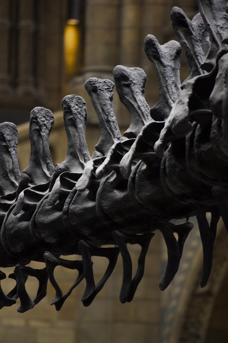 Science Exhibits